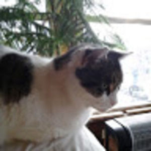 Meet your Posher, Debbie